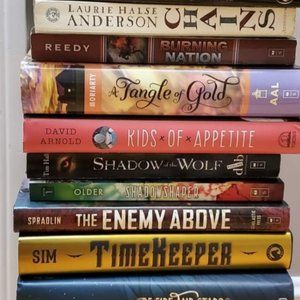 YA books, grab bag/mystery box